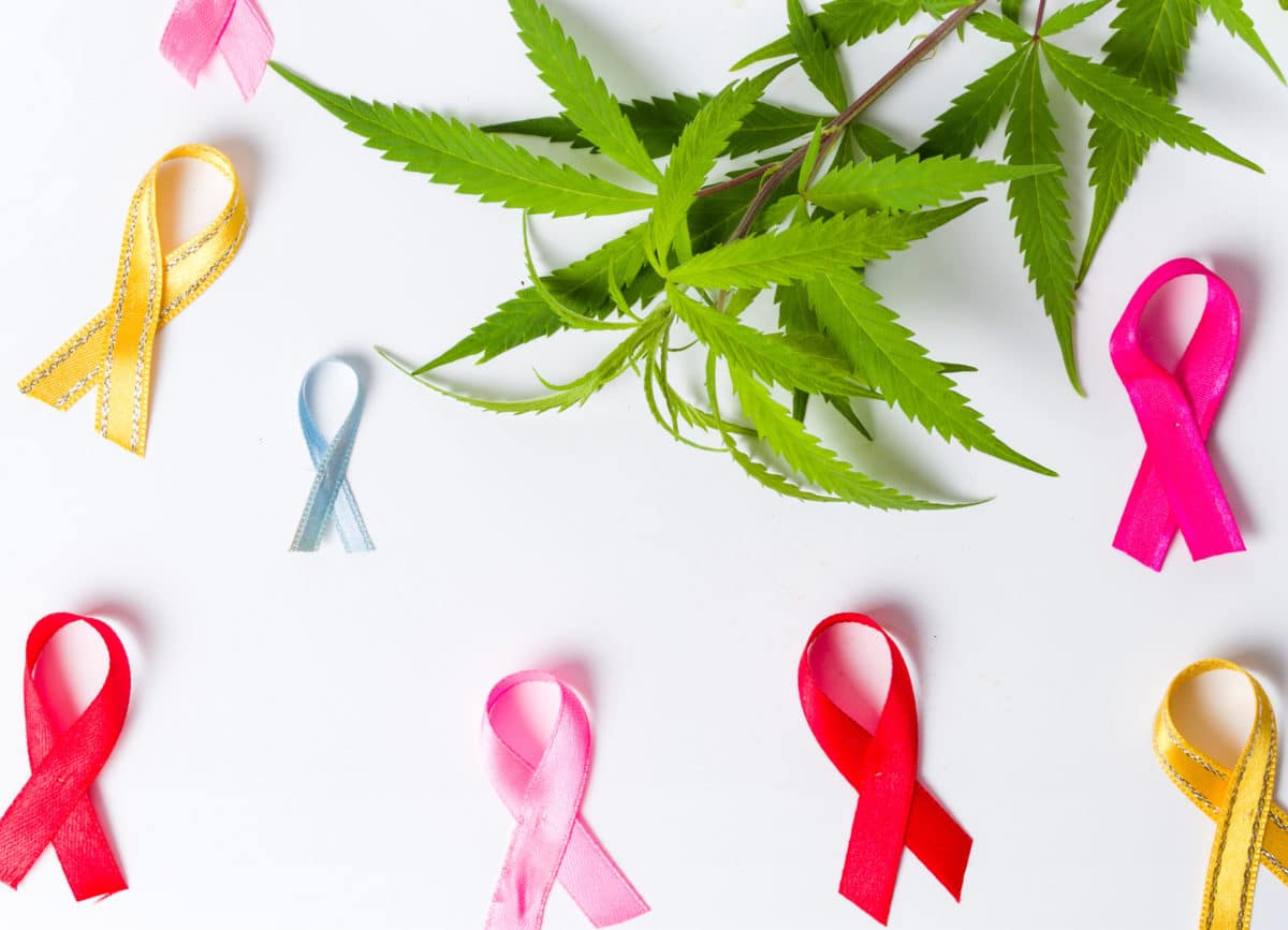 Cannabis and various good causies