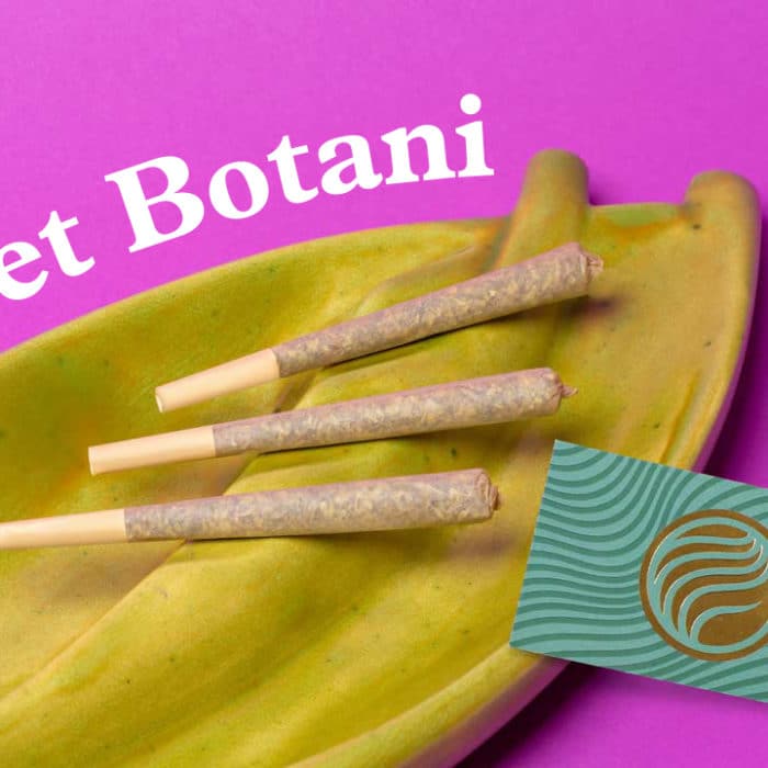 Meet Botani - 3 cananbis joints wrapped in Botani rolling paper on a yellow ashtray