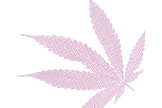 cannabis leaf in pink halftone