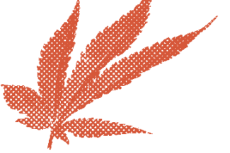 cannabis leaf in burnt orange halftone