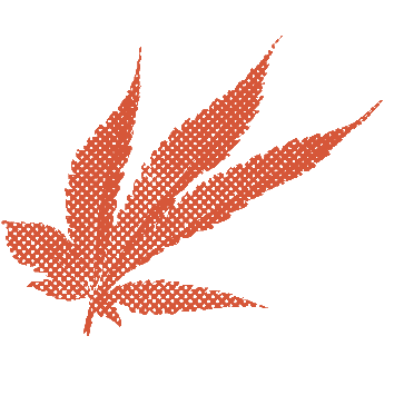 cannabis leaf in burnt orange halftone