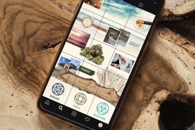 Timber Cannabis Social Media Management