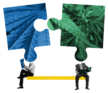Two Cannabis Puzzle Pieces coming together