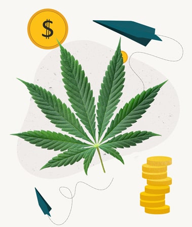 Cannabis Leaf , paper airplanes and stacked money