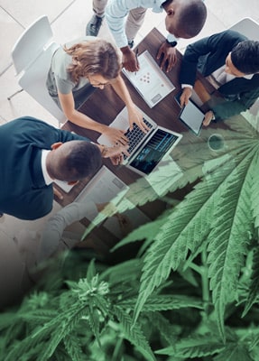 Cannabis Finacial Business Planning