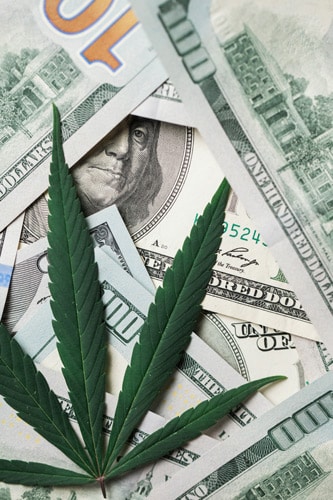 Cannabis Leaf over American Money