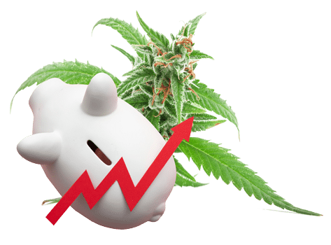 Piggy Bank with rising arrow and cannabis leaf
