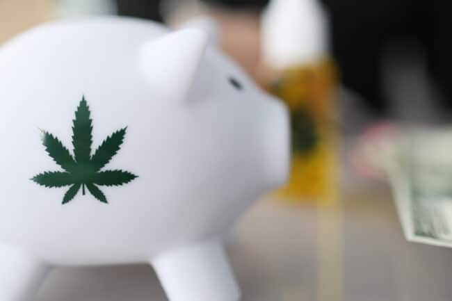 Cannabis Piggy bank
