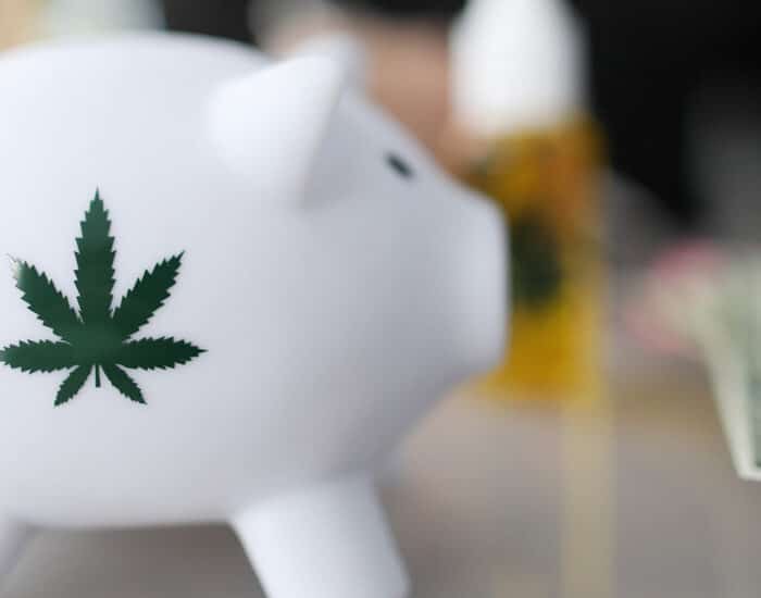 Cannabis Piggy bank