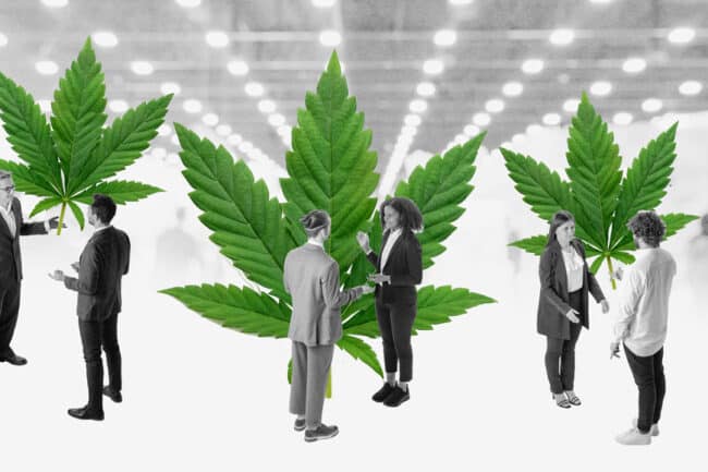 Cannabis Business People at Event