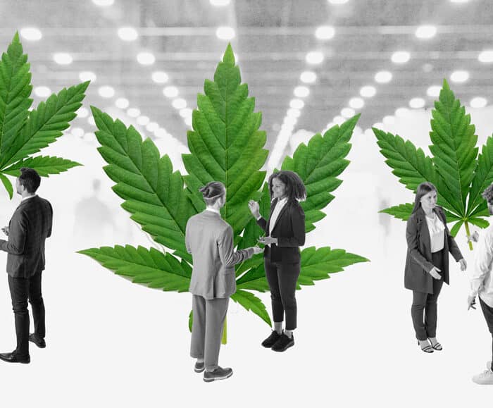 Cannabis Business People at Event
