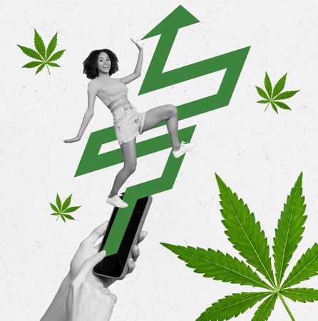 Concept of Cannabis Social Media Metrics Rising