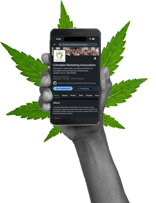 Hand Holding Phone showing Cannabis Marketing Association LinkedIn Page