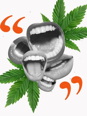 Mouths shouting surrounded by cannabis leaves