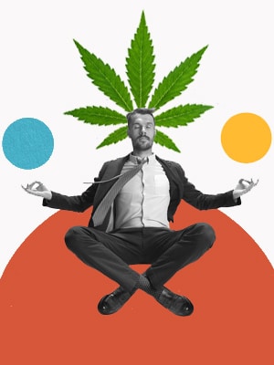 Cannabis Business Man Meditating