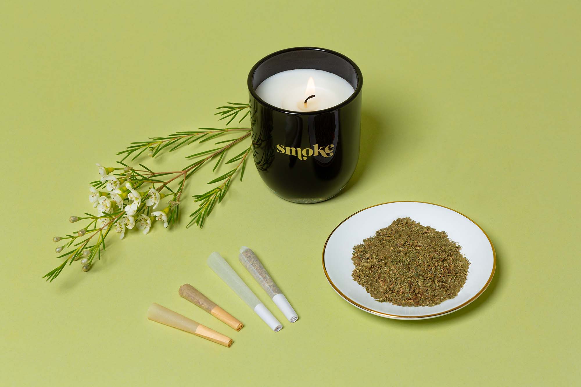 Photoshoot of Botani Hemp Wrapped Pre-Rolls next to small plate of weed