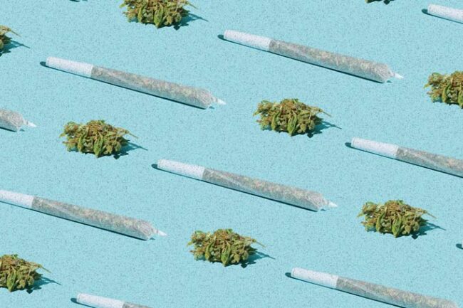 Cannabis Joints & Cannabis Flower Buds in a pattern