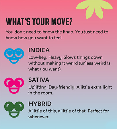 Informational graphic explaining cannabis strain types—Indica, Sativa, and Hybrid—using simple language and icons to describe effects like low-key, uplifting, or balanced feelings.