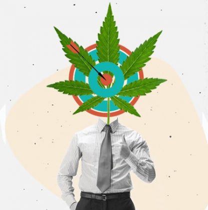 Cannabis Target Audience